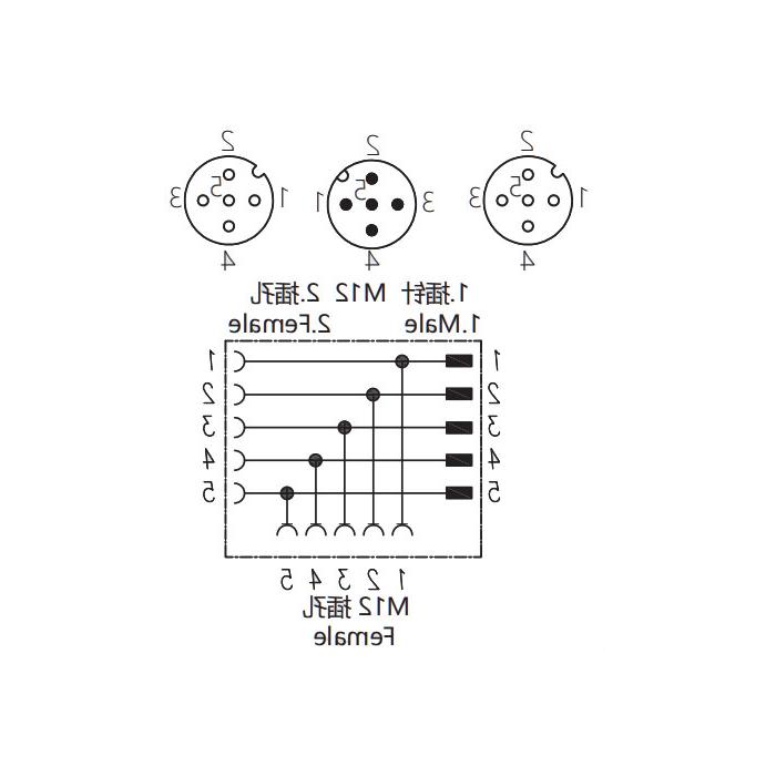 M12 5Pin母头/M12 5Pin公头+M12 5Pin母头、Tee joint、644443